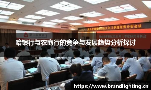 哈银行与农商行的竞争与发展趋势分析探讨