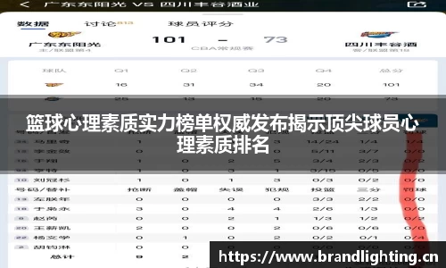 篮球心理素质实力榜单权威发布揭示顶尖球员心理素质排名