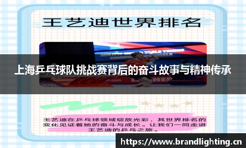 上海乒乓球队挑战赛背后的奋斗故事与精神传承